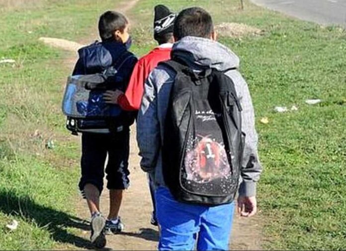 abandn Abandonul școlar, drama tăcută a județului Dolj