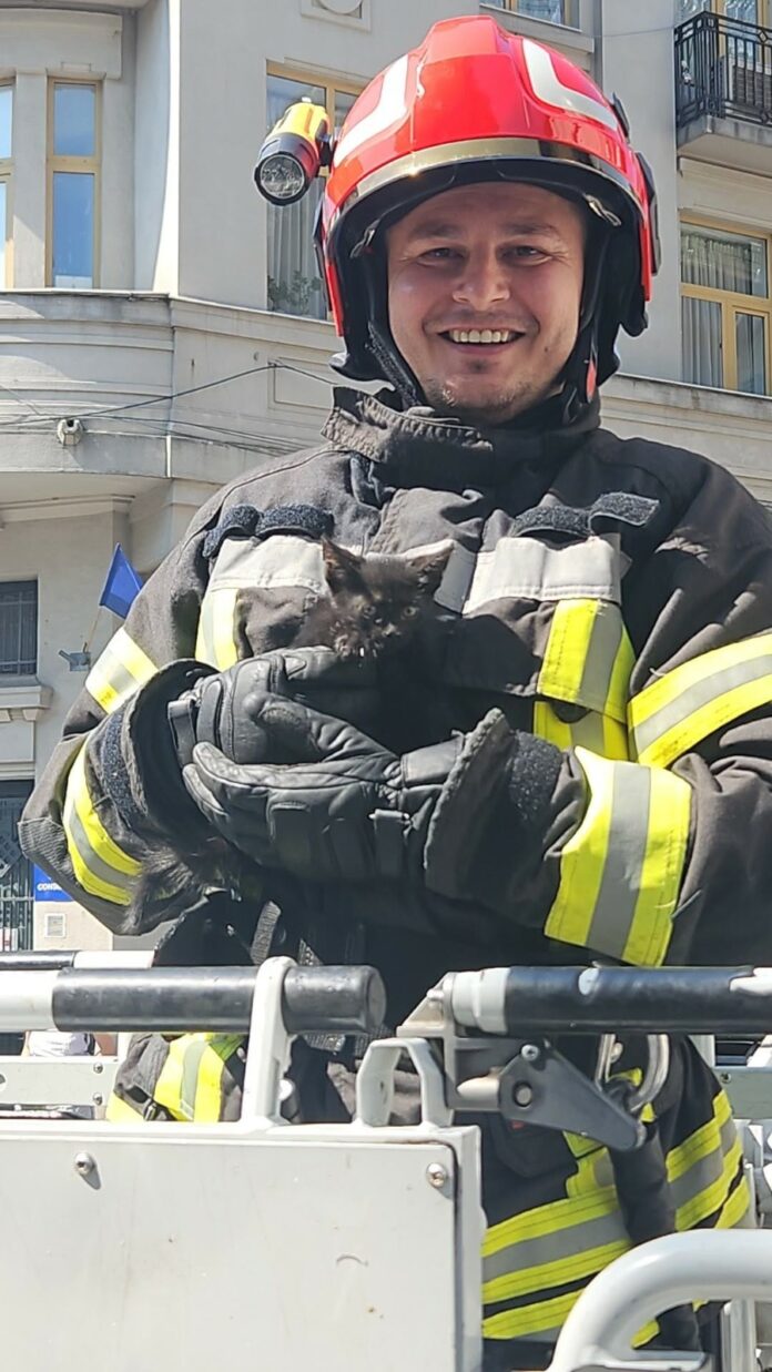 pisoi Misiune de suflet în centrul Craiovei